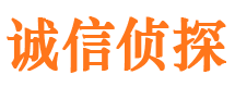 四方市侦探调查公司